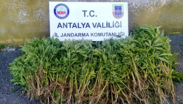 Antalya'da Uyuşturucu Operasyonu