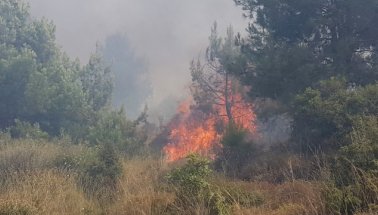 Haylaz çocukların 'kötü oyunu' felakete dönüşüyordu