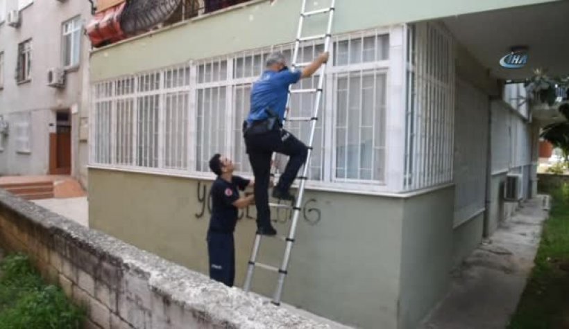 Balkona kapatılan 2 yavru kedi ölmeden kurtarıldı!