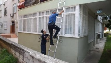 Balkona kapatılan 2 yavru kedi ölmeden kurtarıldı!