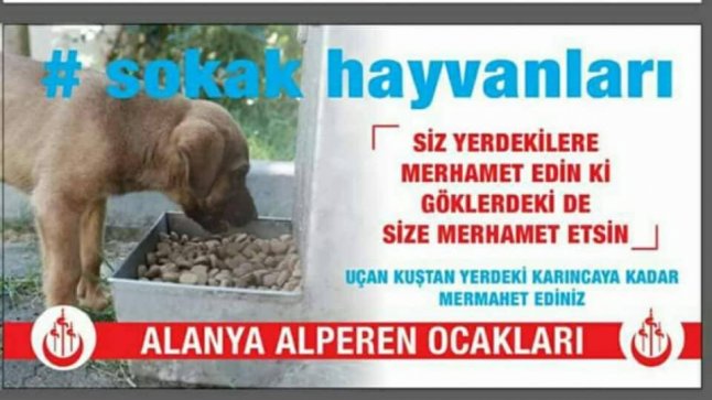 Alanya Alperen Ocakları'ndan anlamlı mesaj