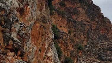 Alanya Kalesi'nden uçuruma düşen bir kişi öldü