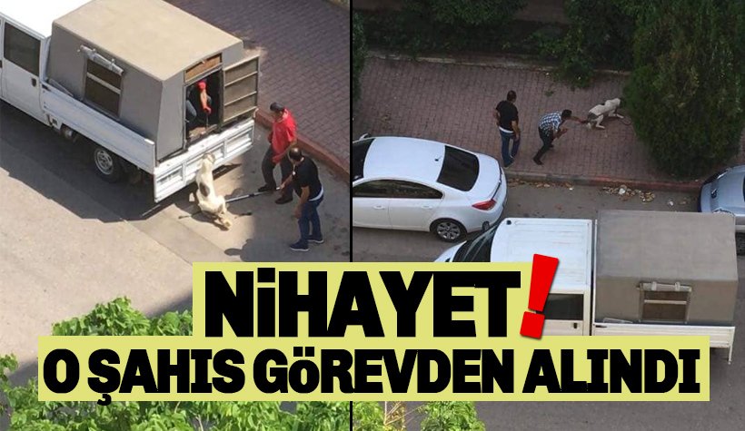 Konyaaltı'nda hayvanseverlerin zaferi