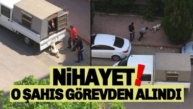 Konyaaltı'nda hayvanseverlerin zaferi