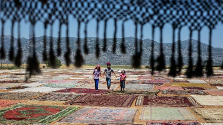 Antalya'da Tarlalar Halı Açtı