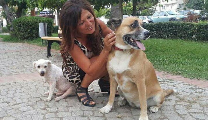 Sokak hayvanlarına 'Bozkırın vicdani ' ses verdi