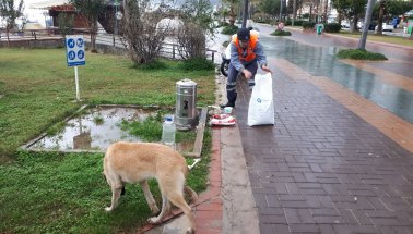 Antalya BŞB Alanya Hizmet Biriminden sokak hayvanlarına destek