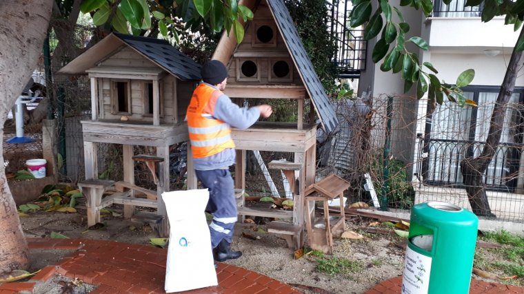 Antalya BŞB Alanya Hizmet Biriminden sokak hayvanlarına destek