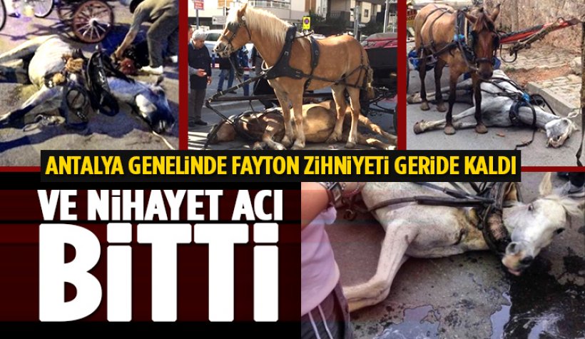 Müjde: Antalya Genelinde Fayton Kullanımı Bitiyor