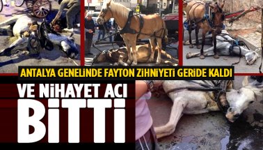 Müjde: Antalya Genelinde Fayton Kullanımı Bitiyor