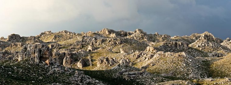 Taşeliler Alanya'da buluşuyor