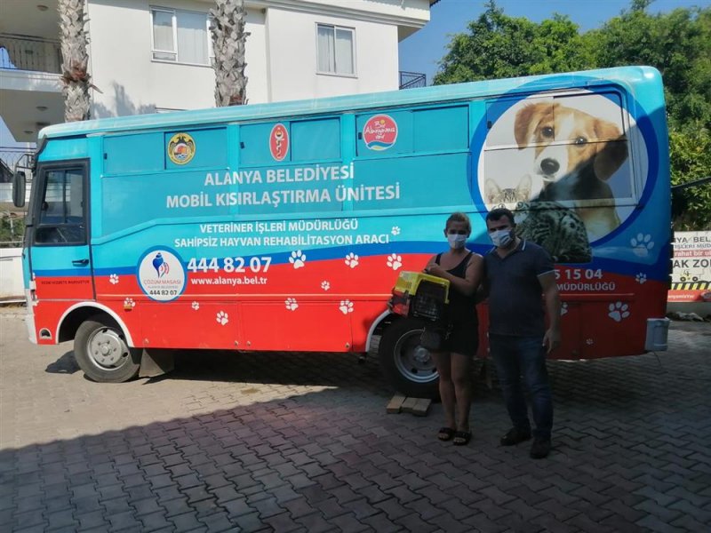 Alanya belediyesi 1 ayda 212 hayvanı tedavi etti