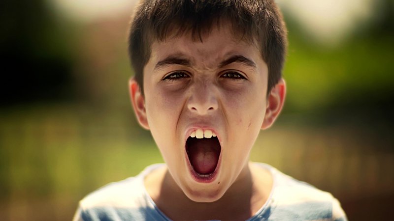 Antalya Fi̇lm Forum  Uzun Metraj Kurmaca Ve Belgesel Work In Progress Projeleri̇ A&ccedil;iklandi