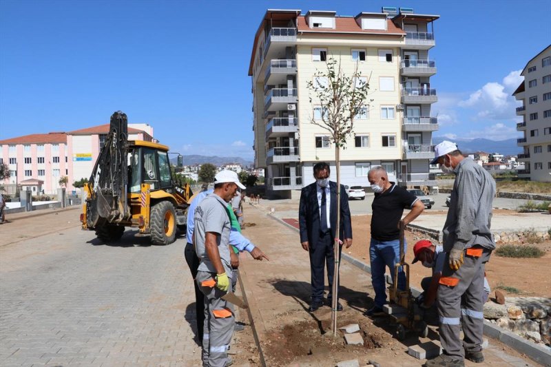 Yeni̇ Yollar Agaclarla Donatildi