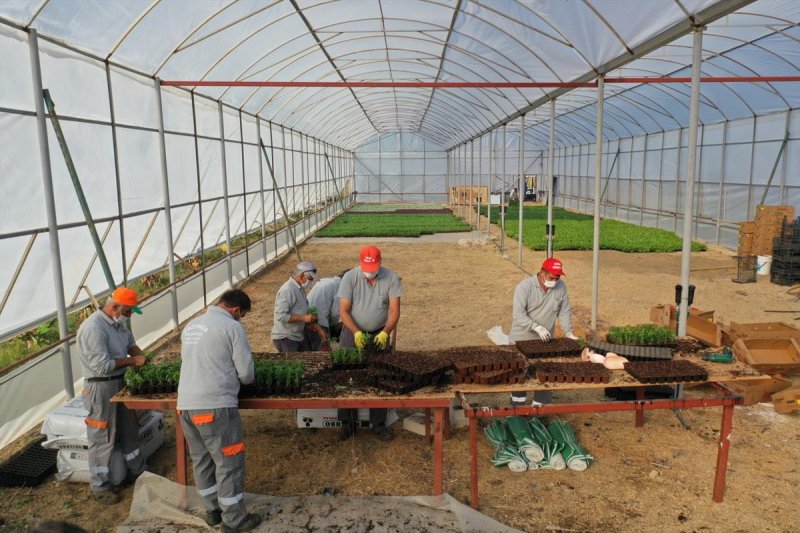 Refuj Ve Kavsaklar ci̇ceklerle Suslenecek