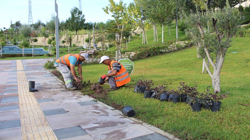 Türkbeleni̇ Kent Parki’nda Sonbahar- Kiş Bakimi