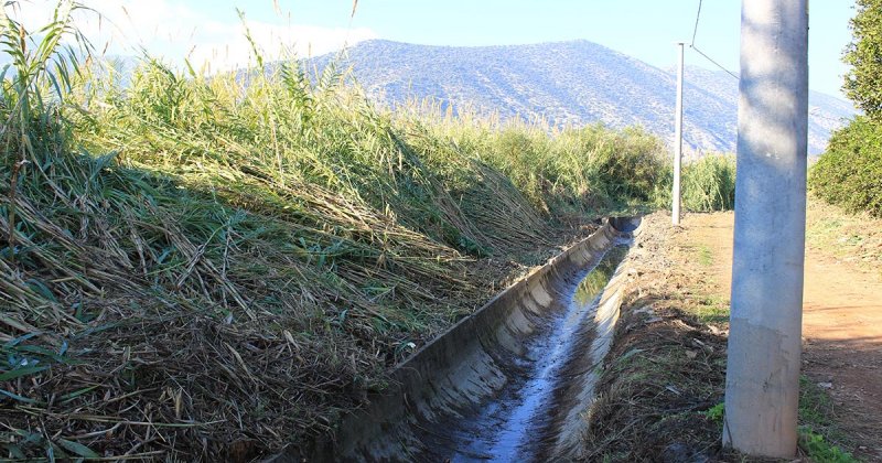 Kumluca Ve Fi̇ni̇ke’de Kiş Hazirliği