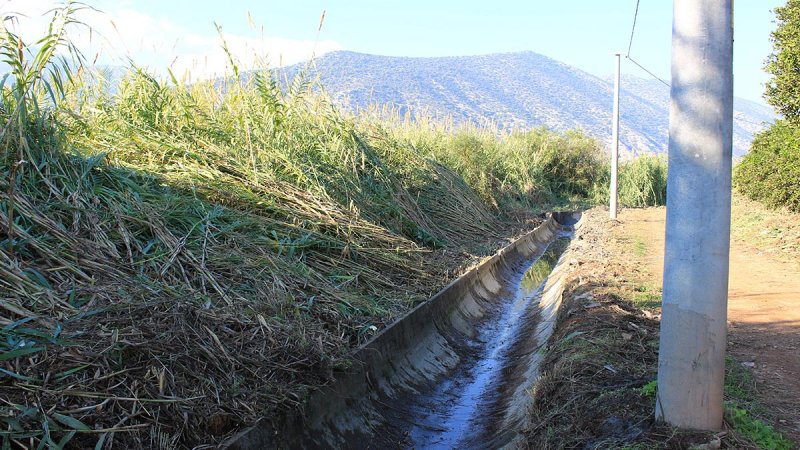 Kumluca Ve Fi̇ni̇ke’de Kiş Hazirliği