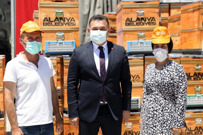 Alanya belediyesi arı yetiştiricilerine ücretsiz 2 bin arı kovanı dağıttı