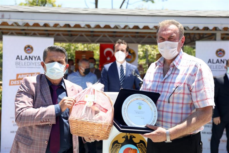 Alanya belediyesi arı yetiştiricilerine ücretsiz 2 bin arı kovanı dağıttı