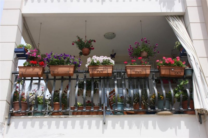 Alanya belediyesi en güzel balkon ve bahçeyi ödüllendirecek