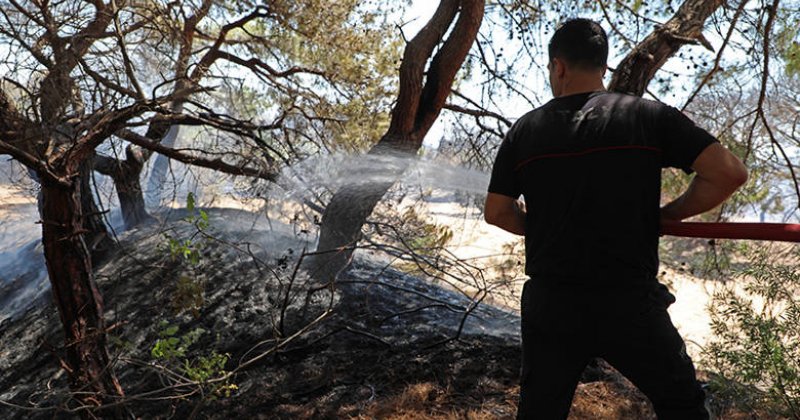 Lara Ormanındaki Yangına Büyükşehir İtfaiyesi Müdahale Etti