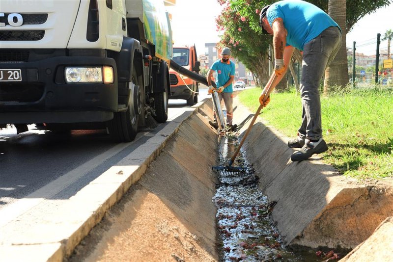 Alanya belediyesi bayram öncesi orta refüjlerde temizlik yaptı