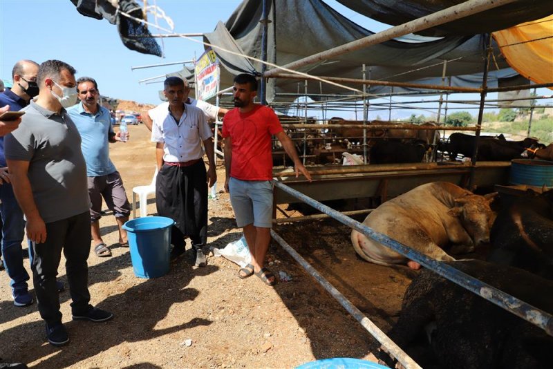 Bayram öncesi kurban pazarını denetleyen başkan yücel vatandaşlara ‘sabit hayvan pazarı’ müjdesi verdi