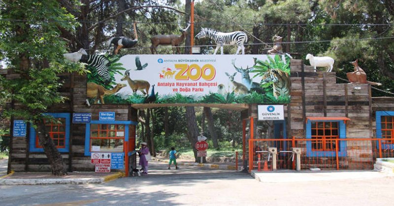 Antalya Hayvanat Bahçesi Ziyarete Kapatıldı