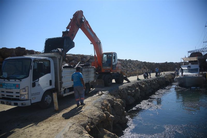 Yanan tur teknelerinin atıkları alanya belediyesi tarafından temizleniyor