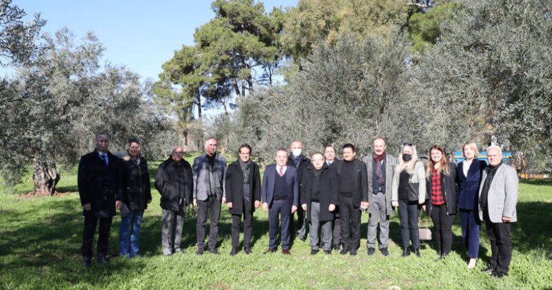 Başkan Böcek Zeytin Park’ı Ziyaret Etti