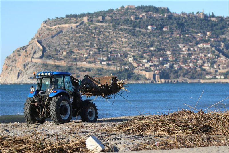 Alanya belediyesi yağışların ardından sahillerde temizliğe başladı