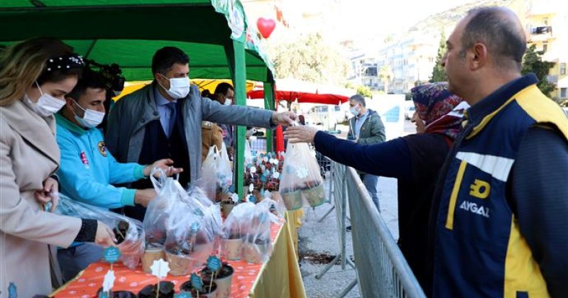 Alanya belediyesi’nden 14 şubat sürprizi 10 bin çiçeğin dağıtımına başlandı