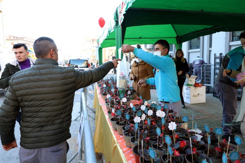Alanya belediyesi’nden 14 şubat sürprizi 10 bin çiçeğin dağıtımına başlandı
