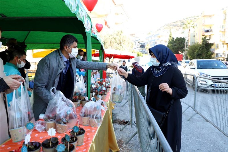 Alanya belediyesi’nden 14 şubat sürprizi 10 bin çiçeğin dağıtımına başlandı