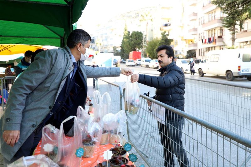 Alanya belediyesi’nden 14 şubat sürprizi 10 bin çiçeğin dağıtımına başlandı