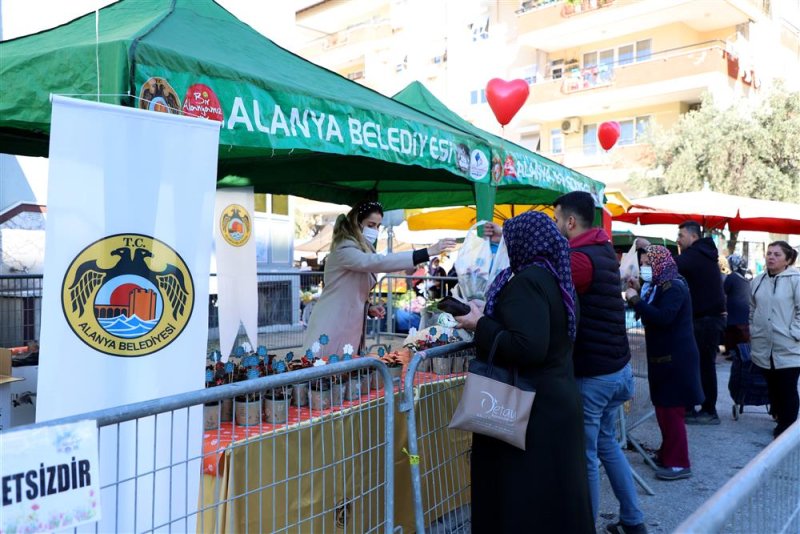 Alanya belediyesi’nden 14 şubat sürprizi 10 bin çiçeğin dağıtımına başlandı