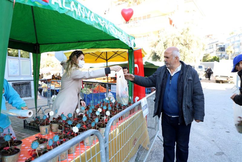 Alanya belediyesi’nden 14 şubat sürprizi 10 bin çiçeğin dağıtımına başlandı