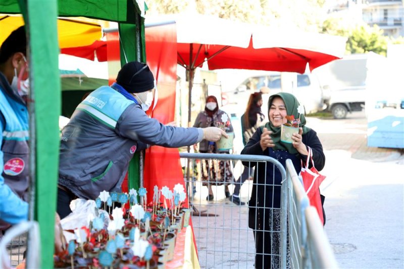 Alanya belediyesi’nden 14 şubat sürprizi 10 bin çiçeğin dağıtımına başlandı