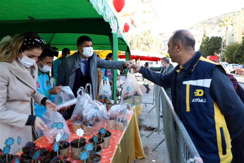 Alanya belediyesi’nden 14 şubat sürprizi 10 bin çiçeğin dağıtımına başlandı