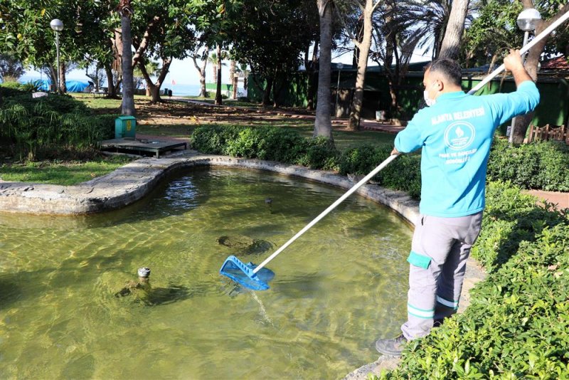 Alanya’nın süs havuzları yaz dönemine hazırlanıyor