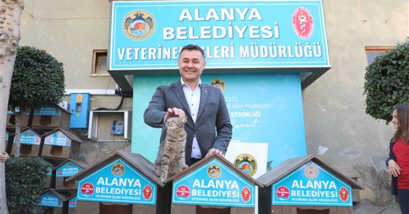 Alanya belediyesi okullara ve hayvanseverlere kedi evi dağıttı