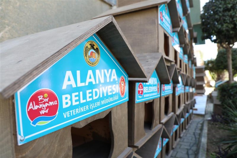 Alanya belediyesi okullara ve hayvanseverlere kedi evi dağıttı