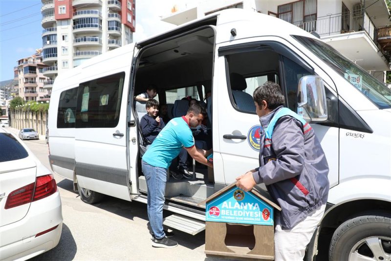 Alanya belediyesi okullara ve hayvanseverlere kedi evi dağıttı