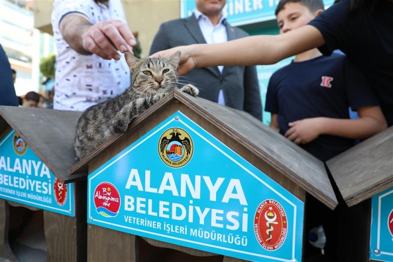 Alanya belediyesi okullara ve hayvanseverlere kedi evi dağıttı
