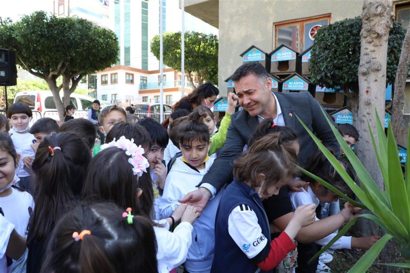 Alanya belediyesi okullara ve hayvanseverlere kedi evi dağıttı