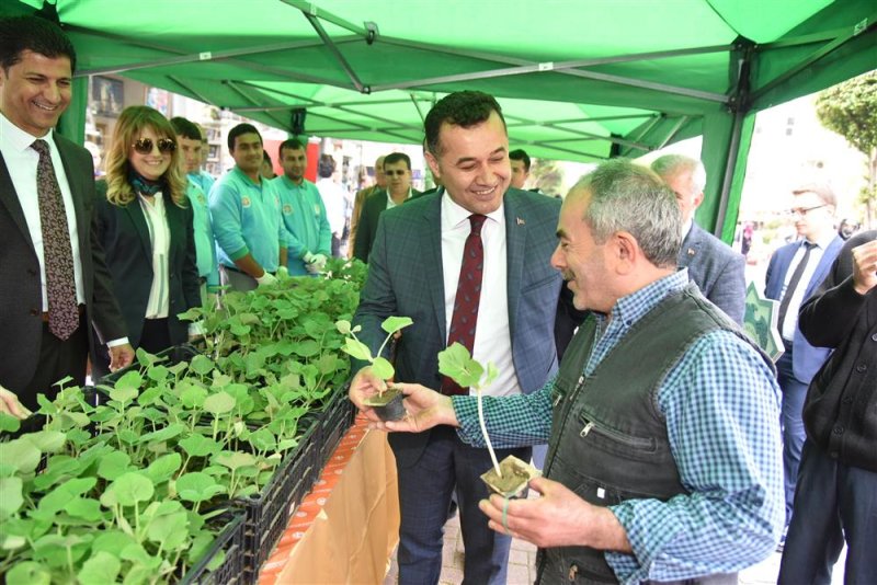 Alanya belediyesi su kabağı fidesi dağıtacak