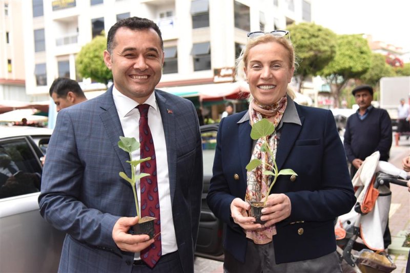 Alanya belediyesi su kabağı fidesi dağıtacak