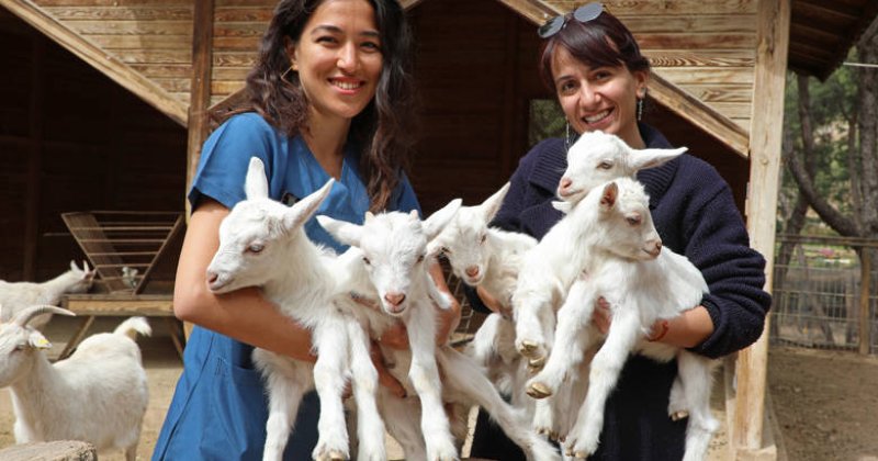 Antalya Hayvanat Bahçesi’nde Bahar Bereketi     Kangurudan Lemura Yavru Doğumları Başladı