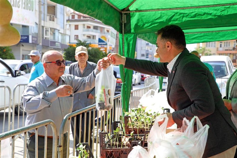 Başkan yücel su kabağı fidesi dağıttı